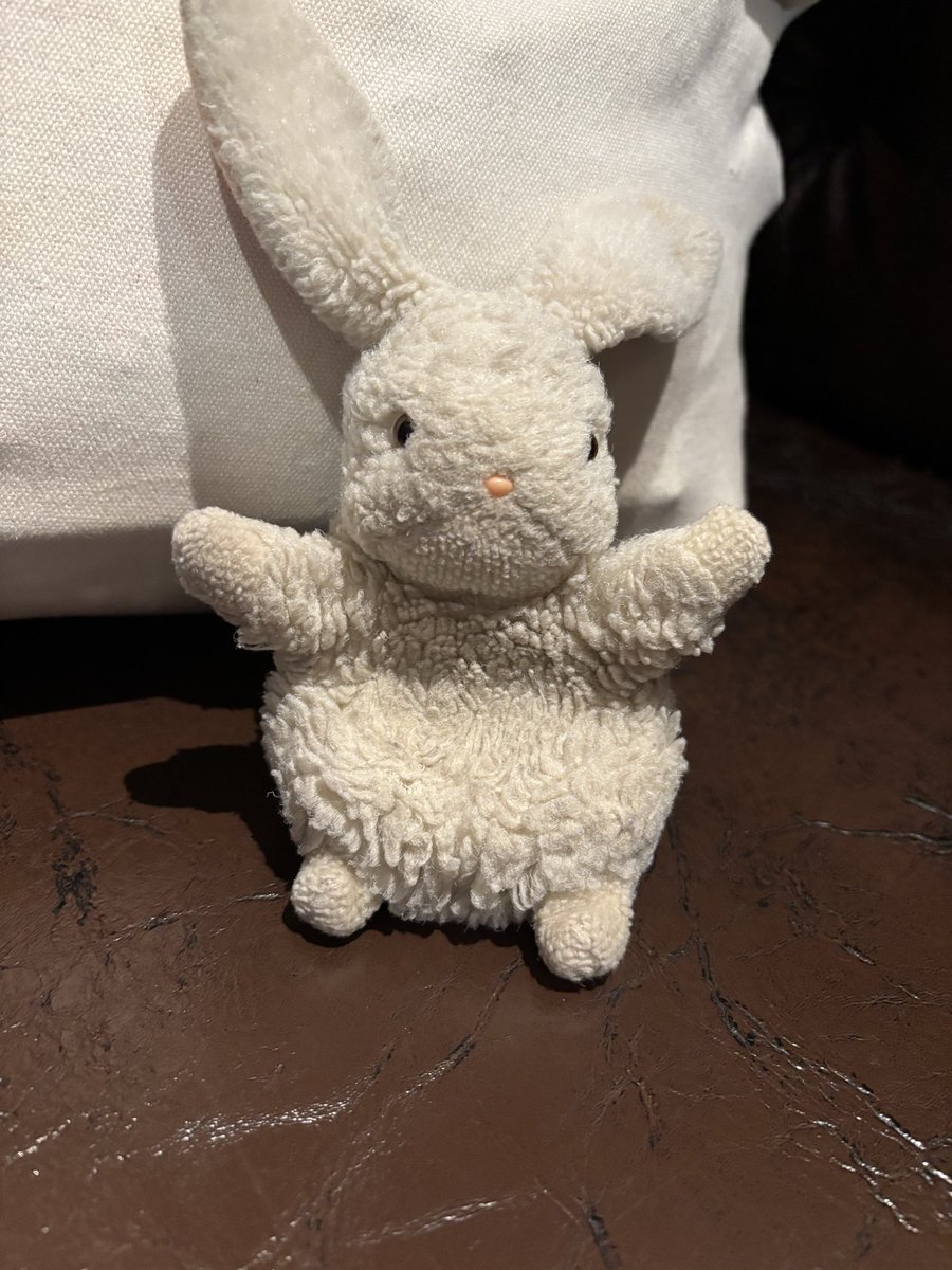 peachchild0925's tweet photo. うさぎのぬいぐるみを探しています

10/4(日)浜松駅から東京駅まで新幹線乗車
21時半頃八重洲北口を出た後、JR東日本の丸の内北口改札付近まで移動、行幸地下ギャラリーを通り東京メトロ千代田線二重橋前駅まで行きました
各所問い合わせしていますが見つかりません

#拡散希望　#ぬい活 https://t.co/HSC7JW2hc7