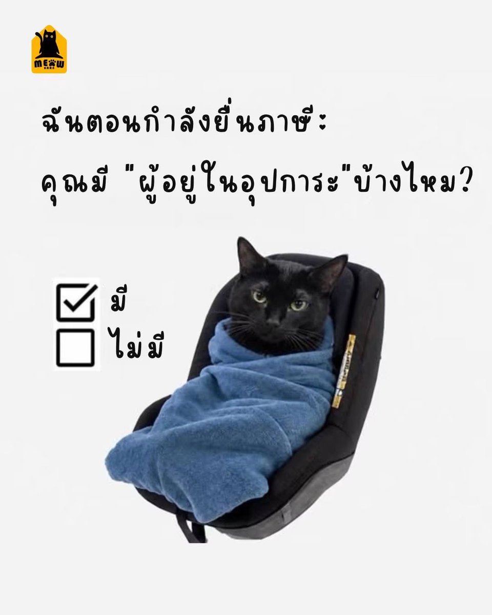 lemonrider_'s tweet photo. มี 3 ตัว https://t.co/kVVXaatKZq