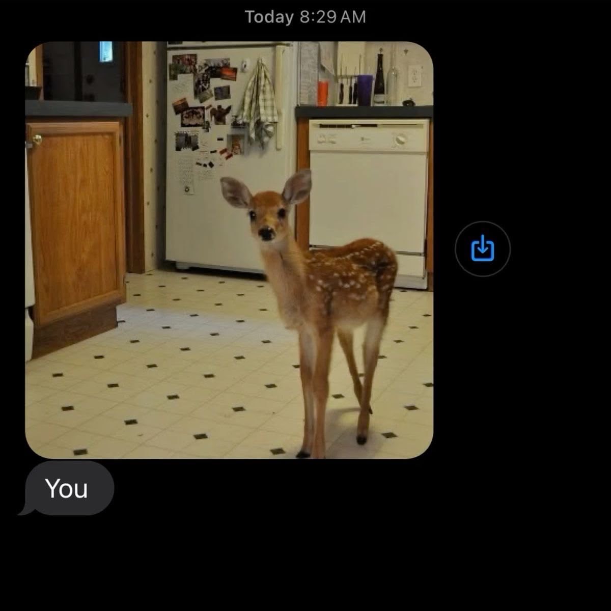 lovewitch76's tweet photo. https://t.co/FKGtrsomAF