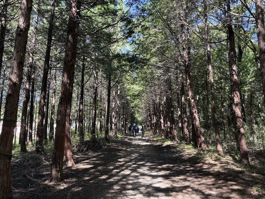 NJC_Recruit's tweet photo. こんにちは

先日は、とある研修体験会にて
山梨県まで行ってまいりました‼️
普段の行いのおかげか
天気もよくて、ありがたかった‼️
かなりのアクティビティで
筋肉痛💪⚡️が続いております⋯⋯

今週もいくつかの研修がございます
週末には大きなイベントも‼️
頑張ってまいりたいと思います
どうぞよろしくお願いします

#日本事務器 
#NJC 
#企業公式相互フォロー 
#研修体験会 
#山梨県
#山梨出張 
#人材育成 
#チームビルディング