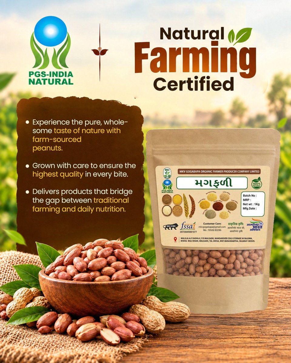 AgriGoI's tweet photo. Go Natural 🌿

MkV Gogabapa Organic Farmer Producer Co Ltd., #Banas Kantha #Gujarat #FPO,  with 770 farmer members, cultivates peanut using bio-inputs through natural farming practices.

 Natural farming reduces the cost of cultivation & ensures produce free from chemicals- only natural goodness & taste.
@NITIAayog

FPO Contact- Sh. Kailash kumar 9879058997

Click to buy naturally grown product directly from FPO.
https://t.co/pBlsr2d65w

 #NF #OilSeed #NaturalFarming #RegenerativeAgriculture #AgriGoI
