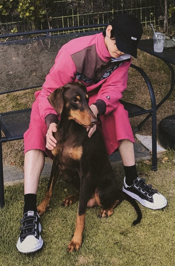 KoomisJax's tweet photo. Jungkook and Bam… they’re so stinkin cute 🥰 I can’t handle the cuteness https://t.co/zFaE2iy0JB