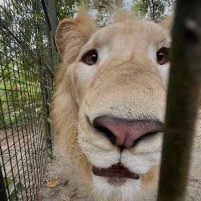 milohideswell's tweet photo. Wenlolin space is so dead like nobody is here anymore just me and my voices in the head 😭😭 https://t.co/9VOh8YbjnA