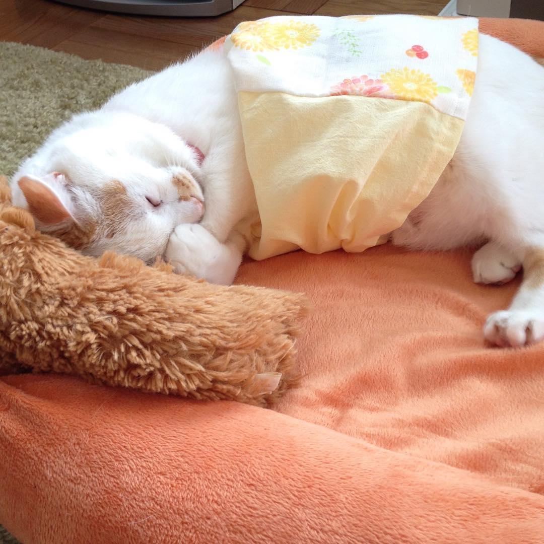 MandaKouns's tweet photo. 時の流れが急に緩やかになると、まるでスクリーンの中の主役になったみたいに、ただ目を閉じて時間をやり過ごしたくなるよね。 https://t.co/Qz4BKxaG4V