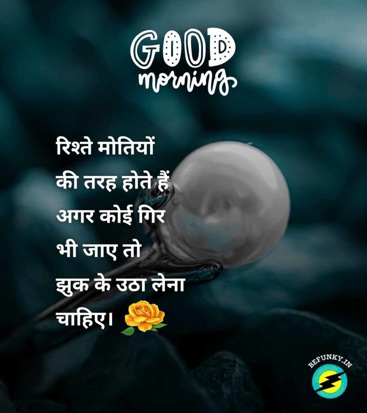 naturelove123's tweet photo. कोई आज तो कोई कल
बदलते है..

यकीन करो सब बदलते है..!! 

#GOODMORNİNG https://t.co/FdnxyMtvoc