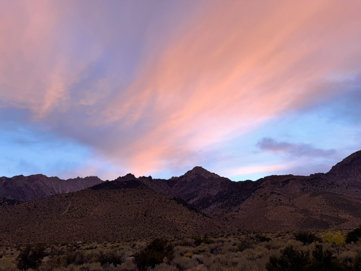 dv_folklores13's tweet photo. I was Pink Clouding this weekend #PinkClouding https://t.co/BhQ7xpFSft