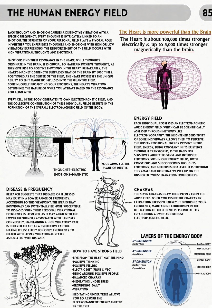 benwehrman's tweet photo. The Human Energy Field https://t.co/Yg2KqKqWe0