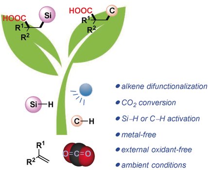 Hanzala45641763's tweet photo. Visible light, CO₂ and simple Si–H/C–H bonds turned into valuable molecules without metals.
A clear merger of photoredox and HAT catalysis for direct alkene difunctionalization
https://t.co/A0Jegmd6ck

#chemistry #angewchem #CHfn #metalfree #synthesis #organic #share #research https://t.co/qS2j60k3hT