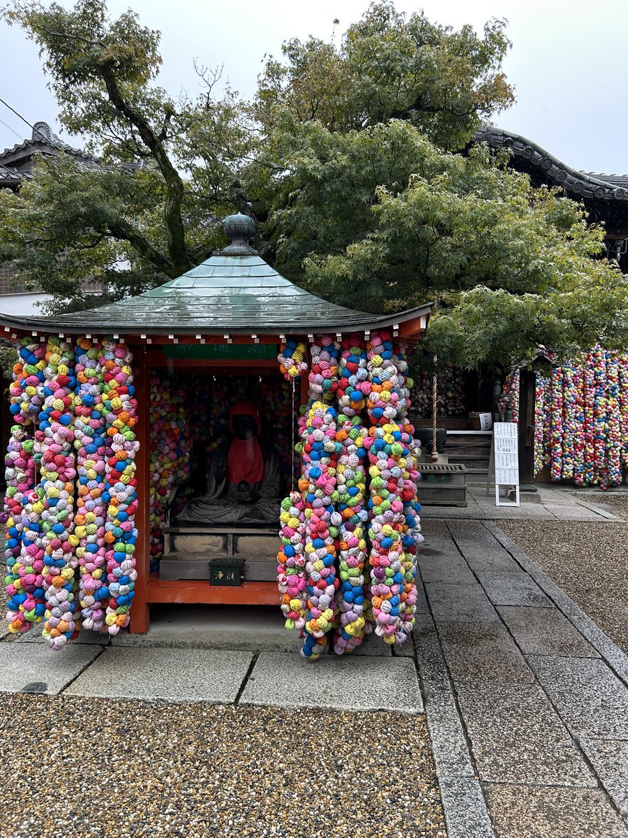 buchi_kazuu's tweet photo. 京都！！ https://t.co/f9mBnn7yBn
