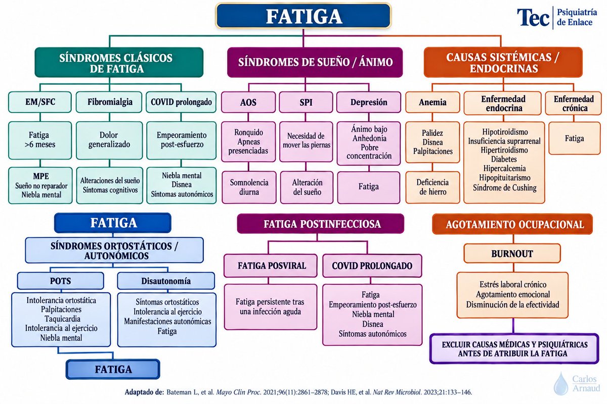 carlos_arnaud's tweet photo. Semiología de la #Fatiga 

Tema a desarrollar y estudiar en la semana con Residentes de #PsiquiatríaDeEnlace https://t.co/ywqFEH1TCX