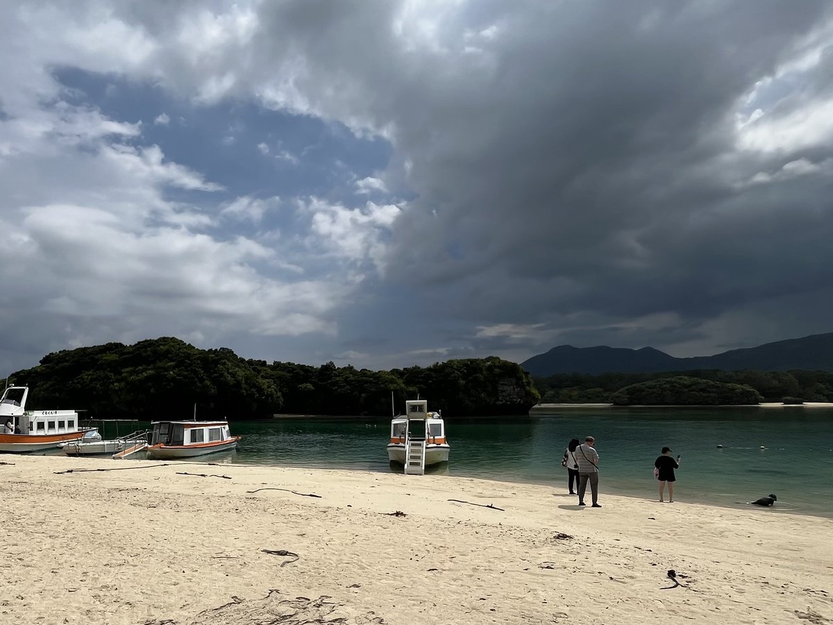 pine_pd's tweet photo. 川平湾でウミガメに遭遇🐢 https://t.co/e8Y2y2Ztuw