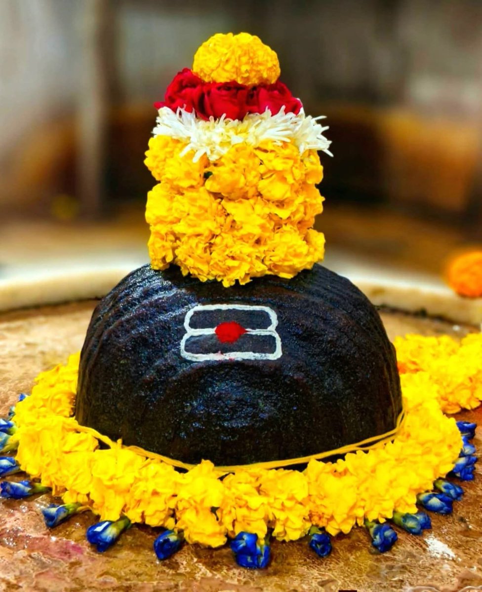 MYogiDevnath's tweet photo. ॐ वन्दे देव उमापतिं सुरगुरुं, वन्दे जगत्कारणम् ।
वन्दे पन्नगभूषणं मृगधरं,वन्दे पशूनां पतिम् ॥
वन्दे सूर्य शशांक वह्नि नयनं,वन्दे मुकुन्दप्रियम् वन्दे भक्त जनाश्रयं च वरदं,वन्दे शिवंशंकरम् ॥

हर हर महादेव🚩 https://t.co/jJ1W4Ol8Tw