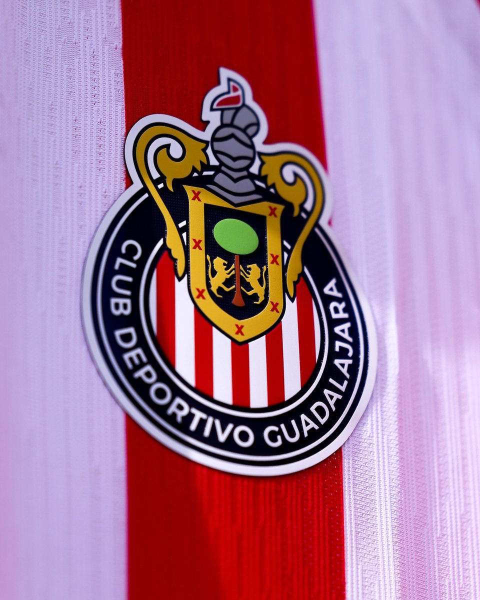TapatioCD's tweet photo. 🔴⚪️ ¡6️⃣ JUGADORES DE LA #CANTERAROJIBLANCA HICIERON SU DEBUT CON @CHIVAS ESTA NOCHE! 🔝

⚔️ Los Rojiblancos participaron en el triunfo de 2-0 en #ElClásicoDeMéxico 🇲🇽

LA MEJOR CANTERA DE ESTE PAÍS. https://t.co/SIU0ppAHtH
