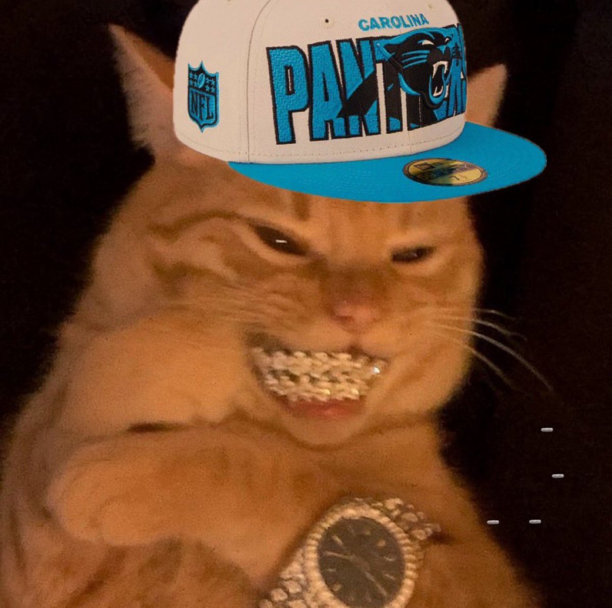 Skyypool's tweet photo. @Panthers @Ticketmaster https://t.co/HIJ0dkpx1R