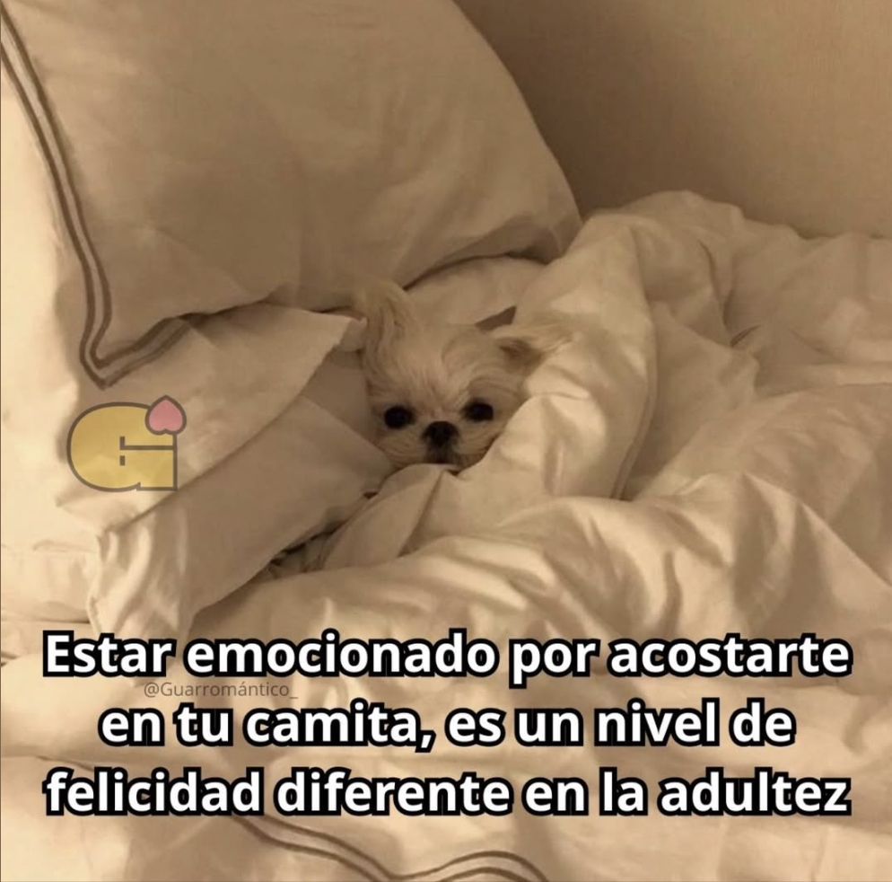 Guarromantico_'s tweet photo. De lo mejor. https://t.co/xW2BAU0uSX