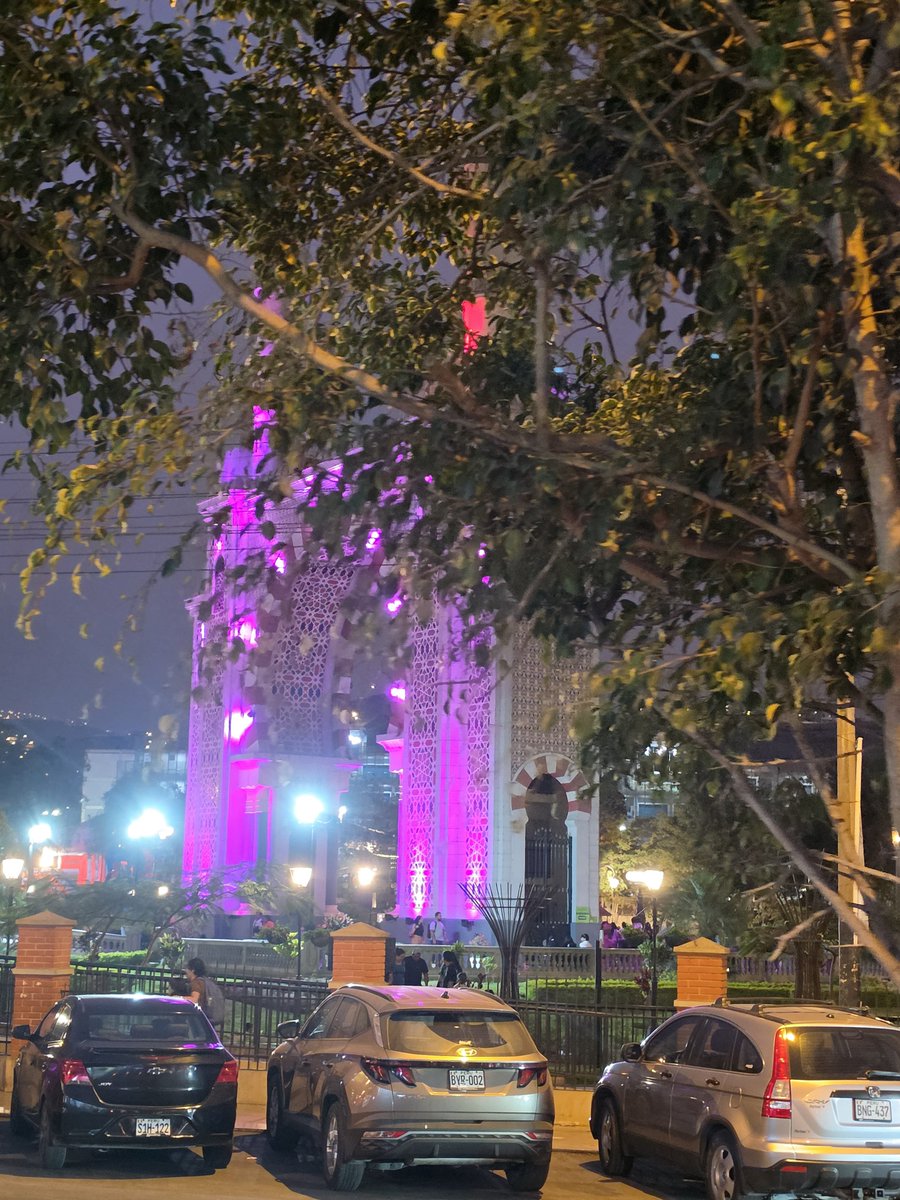 Milena10981's tweet photo. Hoy pase por el parque de la Amistad y ya le pusieron las luces💜 https://t.co/PFtSnYALL2