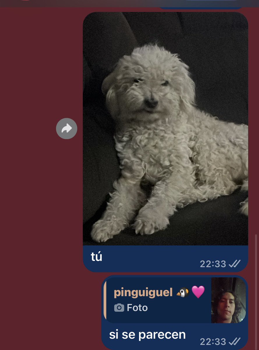 isabelnolesabe's tweet photo. jejeje https://t.co/dXTiBv3kHG