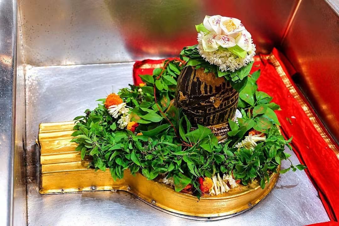 MahamangalT's tweet photo. 🔱 सोमवार की सुबह… और सामने बाबा विश्वनाथ का दरबार। 🙏

काशी में सुबह सिर्फ होती नहीं,
शिवमय होती है। 🕉️

बाबा श्री काशी विश्वनाथ के दिव्य दर्शन से दिन की शुरुआत।
हर हर महादेव! 🚩🔱

Har Har Mahadev

#GodMorningMonday
#शुभ_प्रभात_वंदन 
#ParmarthiDiwas 
"शिव शंकर" https://t.co/FjXlKk3hM8