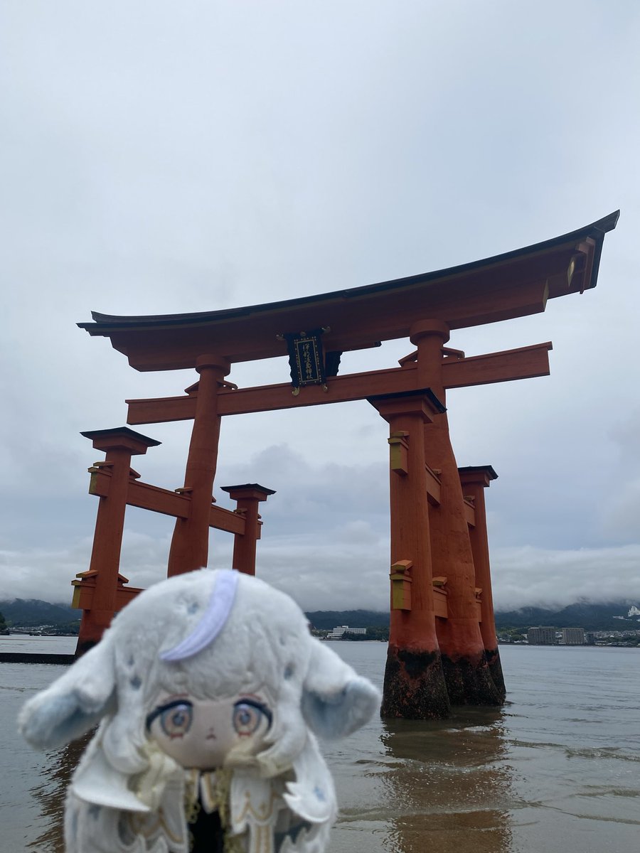piiroll_'s tweet photo. ベストショット📸
晴れてるやっぴ〜と思ってたけど写真見返したら曇っているナ₍ .  ̫. ₎ https://t.co/4ZrqZrlWxN