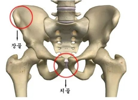 djil2026's tweet photo. 치골 아니고 장골입니다.... 
치골 보이면 보여준 사람도 본 사람도 잡혀감 https://t.co/PM1dpBHjPV