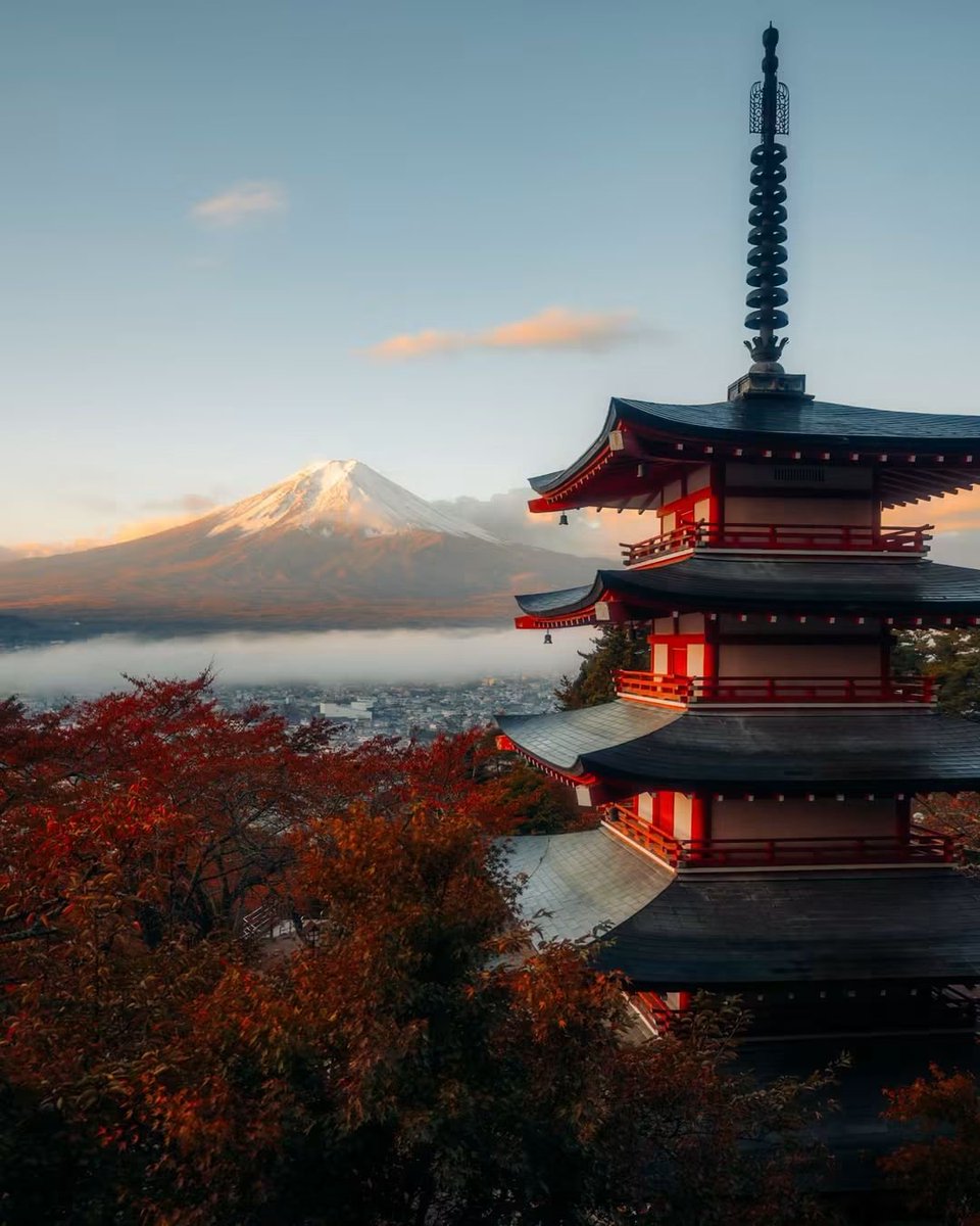 earthserenityy's tweet photo. Fall in Japan https://t.co/gb6LlQbpvl