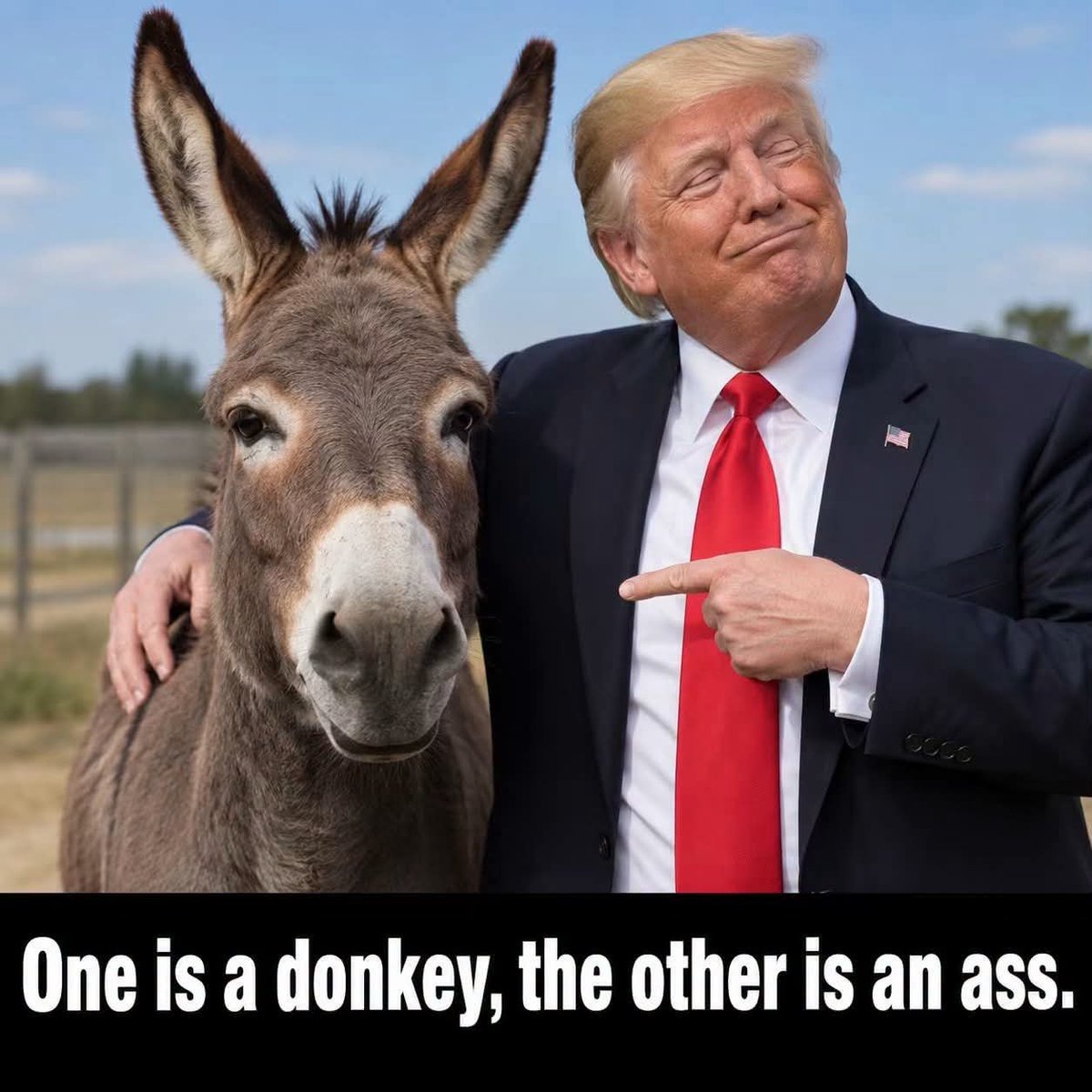 sweetgeorge84's tweet photo. That donkey has too much class to hang out with that ass. https://t.co/z5siRHIsDK