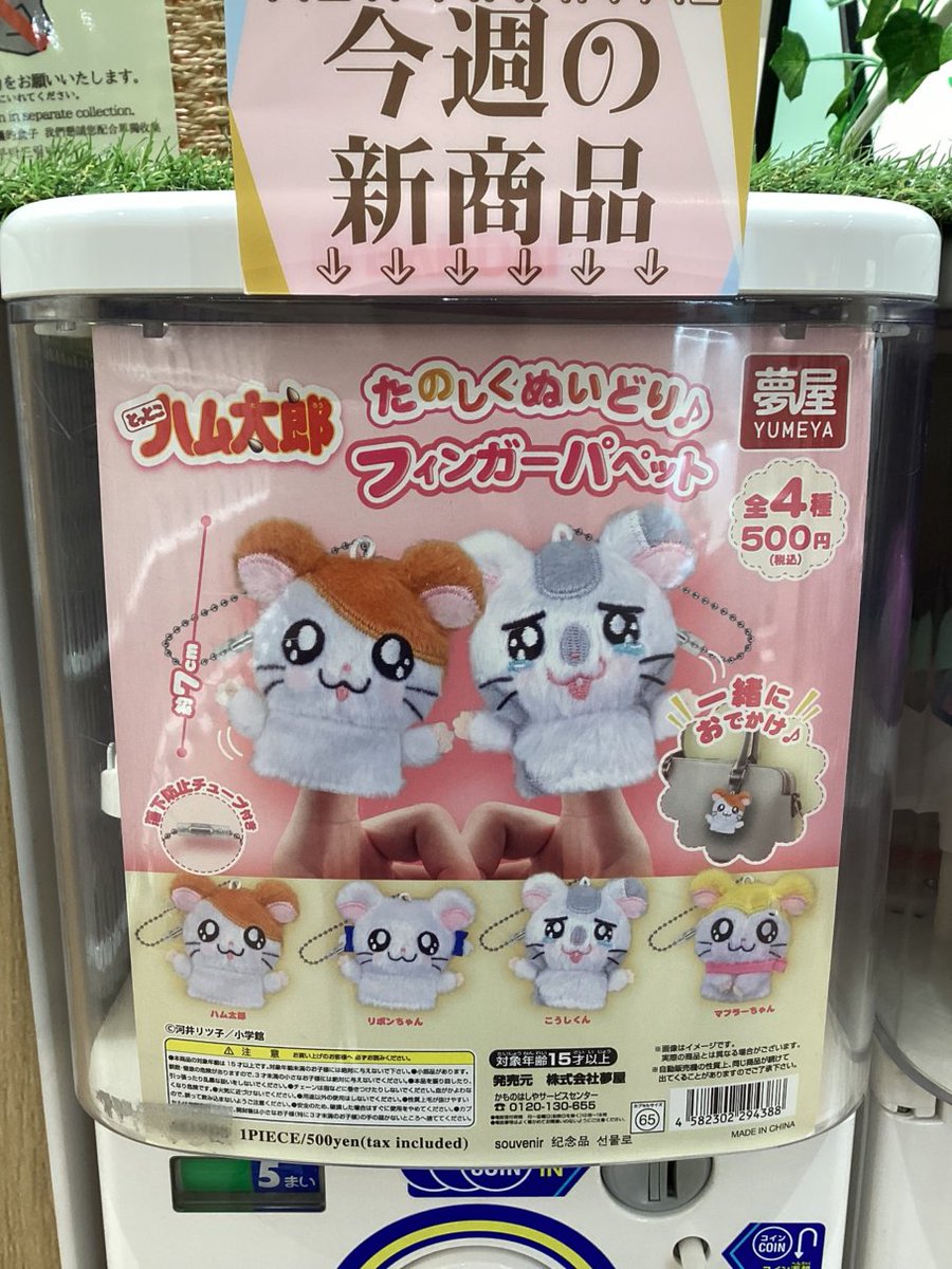 gashacoco 公式X（本部）の入荷情報の写真