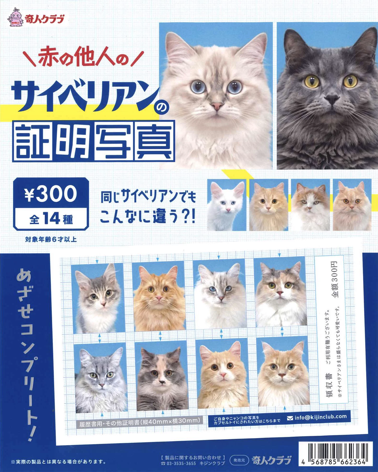 C-pla premium 東急プラザ表参道オモカド店【公式】 on X: 