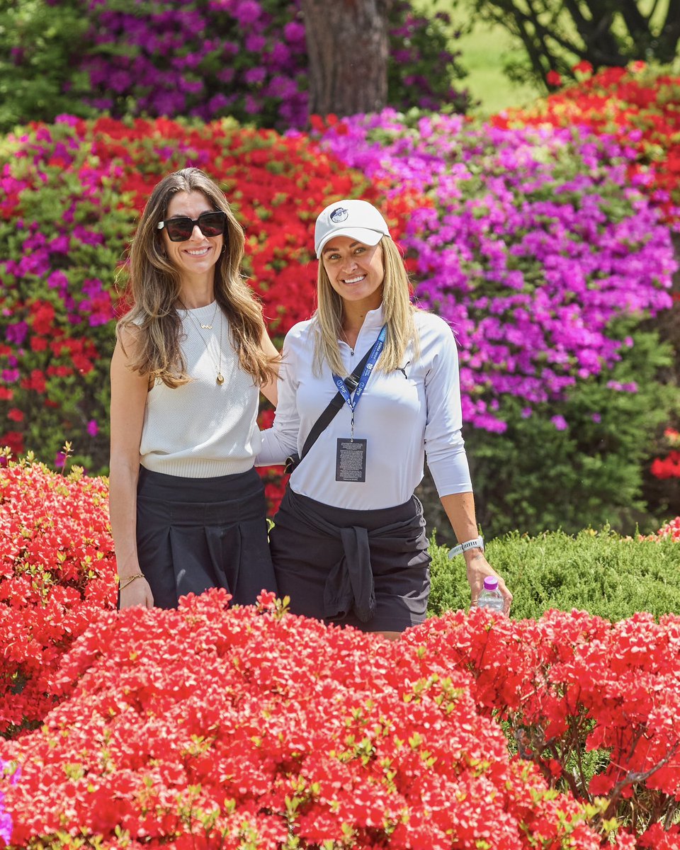 LETgolf tweet picture