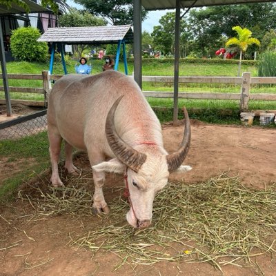 wfPRKWebAZ16985's tweet photo. #NewProfilePic https://t.co/2fUpYrWMlR