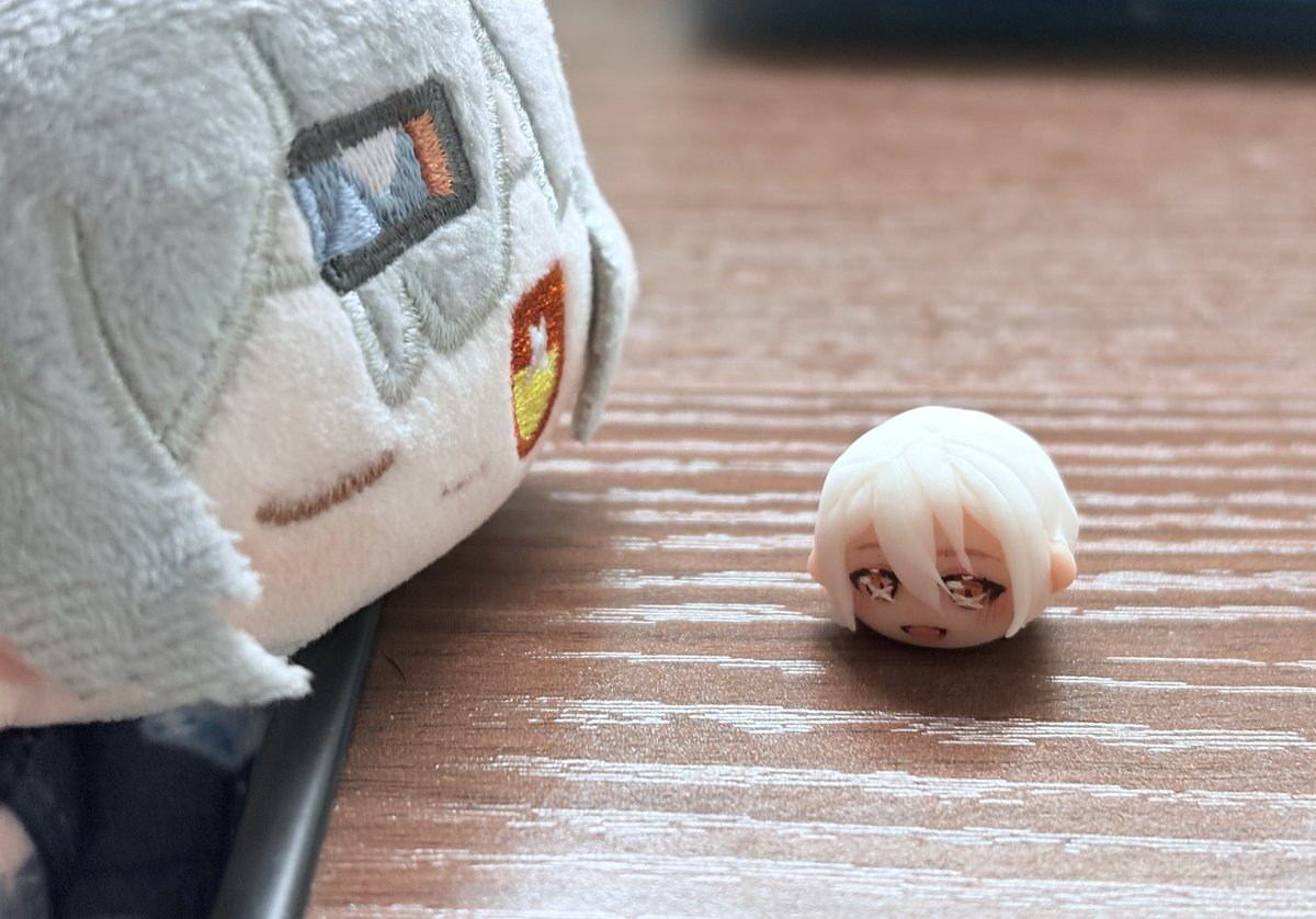 kurage_00w's tweet photo. 思ったよりちんまりすぎて草 https://t.co/Qg9aS0XXVW