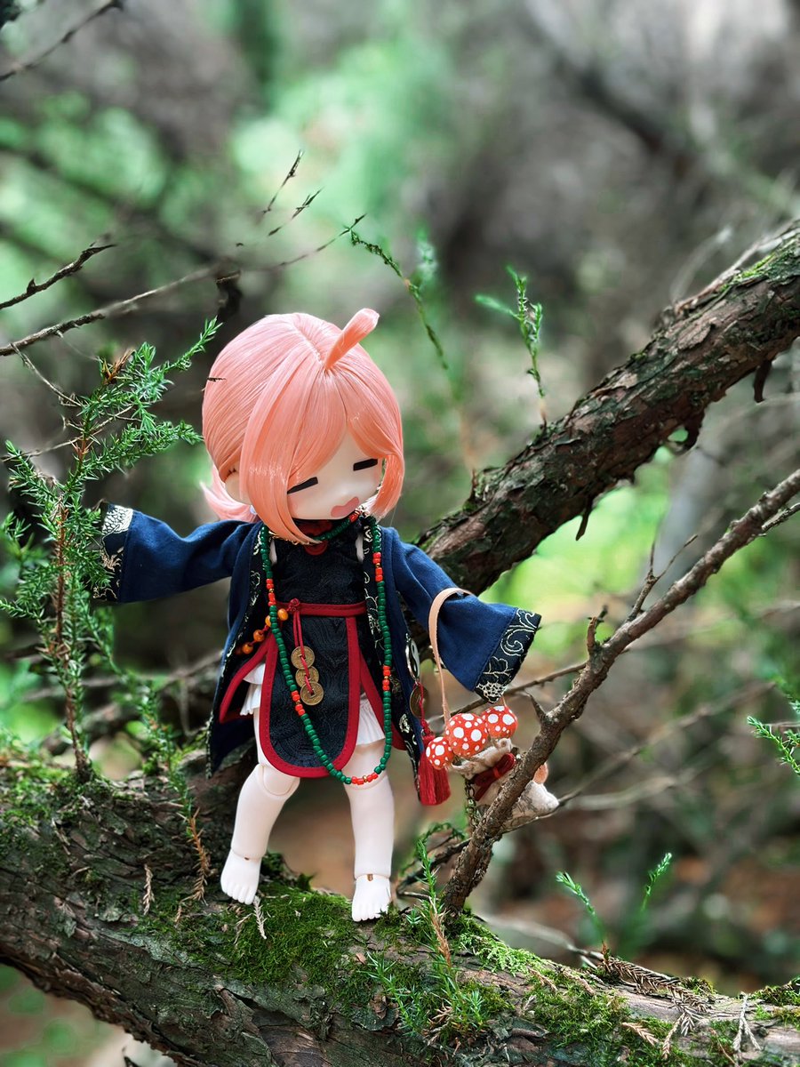 GOUGOU7gogo's tweet photo. #bjd 小白白…… https://t.co/tF6pPjI1vk