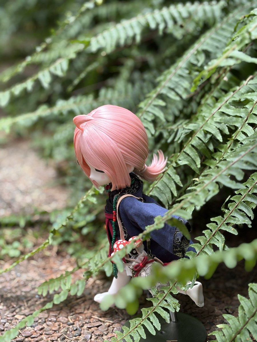 GOUGOU7gogo's tweet photo. #bjd 小白白…… https://t.co/tF6pPjI1vk
