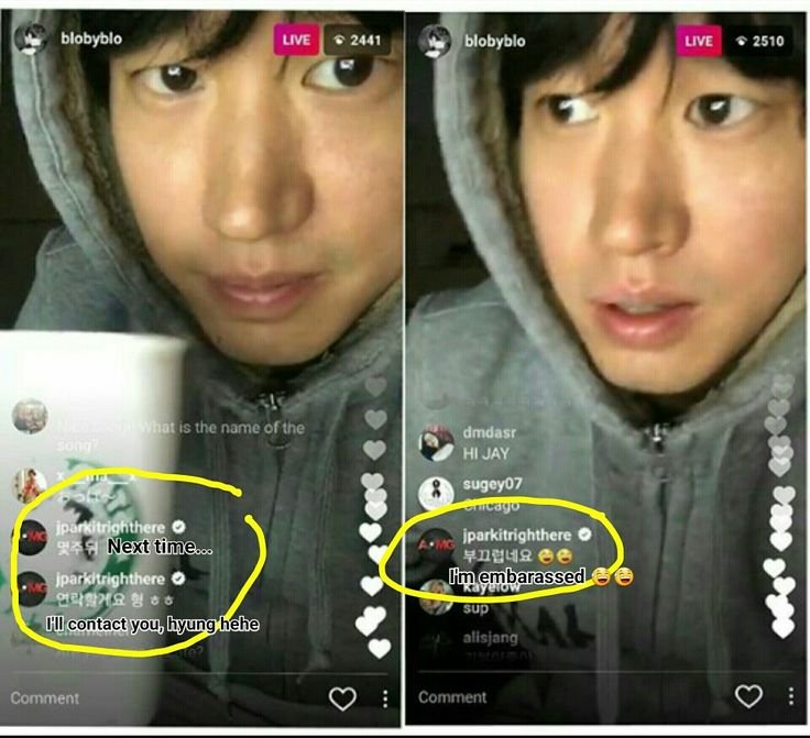 IXPP1TER's tweet photo. ㄴ누가 진짜 닥스훈트지? https://t.co/SK8BiHGbsb