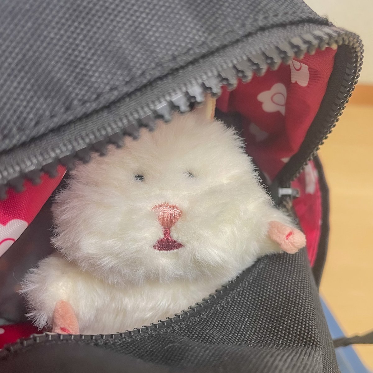 Hiyoconui's tweet photo. びょういん  かいぬし  よばれないね……  #ぬい活  #ぬい撮り #はむにぎり https://t.co/8mnibV2J5K