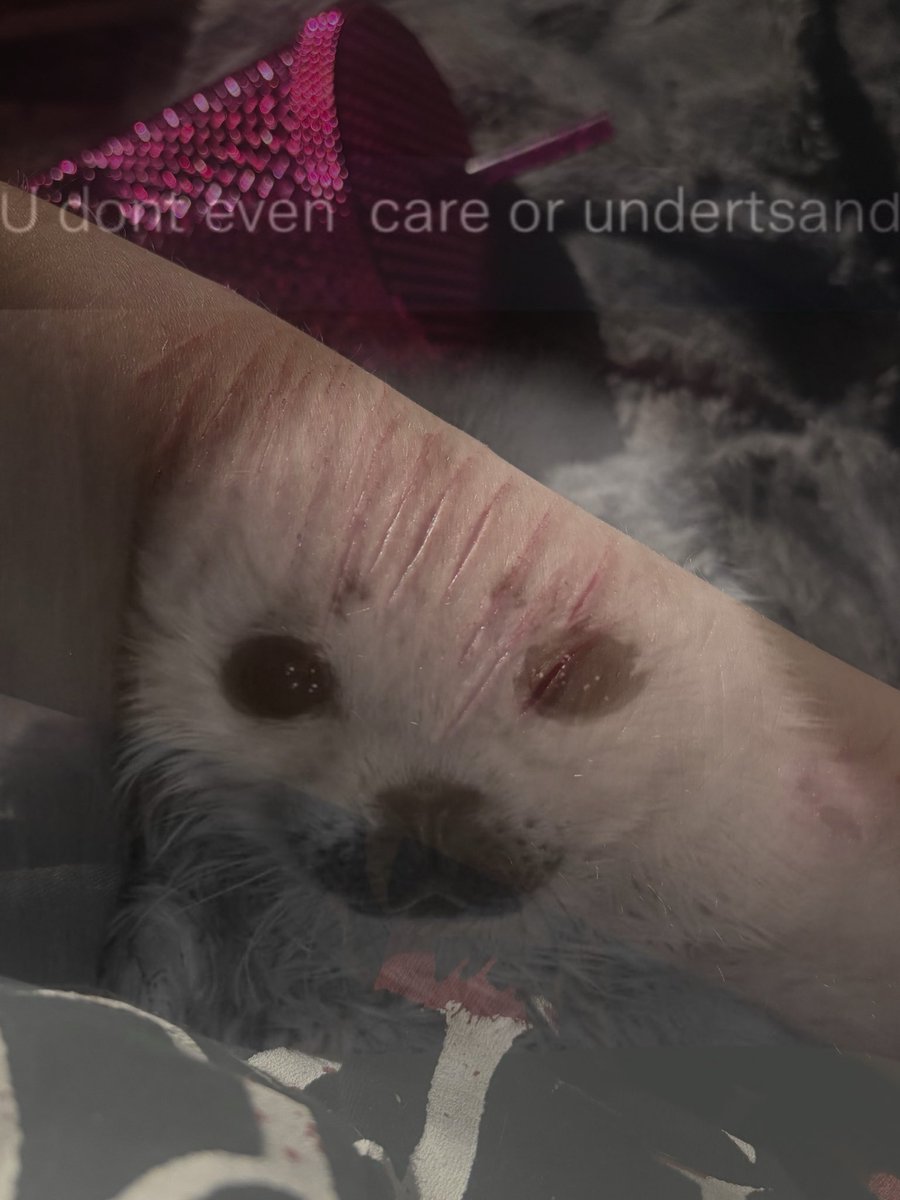 slut_urie's tweet photo. all fake sfx halloween makeup painting 

small baby sesh Aww aww yay :3 !! 

#slittwt #shedtwt #shtwt #ouchietwt
lov U all! take care 🐛🐛 https://t.co/4o4kCQ7FrC