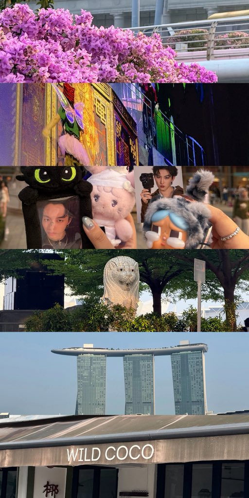 hervibeisbf's tweet photo. My first time in Singapore.
Thank you for everything🌷 https://t.co/r8fpHeTA0O
