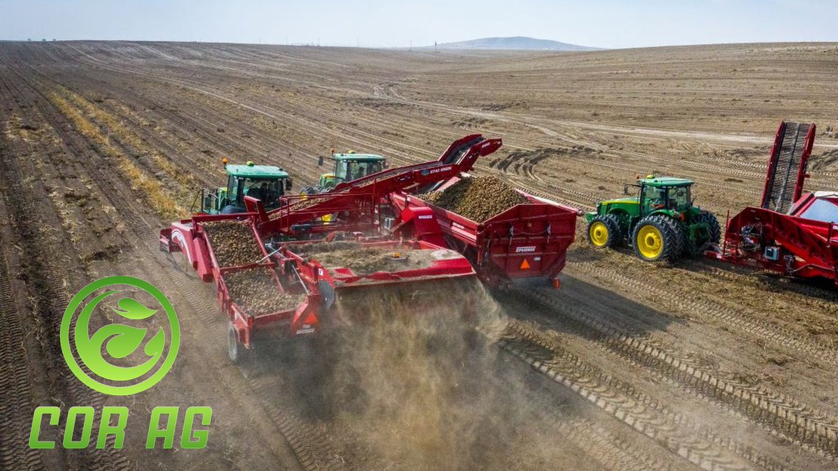 CORAGLLC's tweet photo. Northern seed-potato growers: still harvesting? COR Ag is standing by to help market and move your seed crop. Let’s have a conversation when you’re done with harvest. DM us when you’re ready. #CORAg https://t.co/4Ctl5OpX8H
