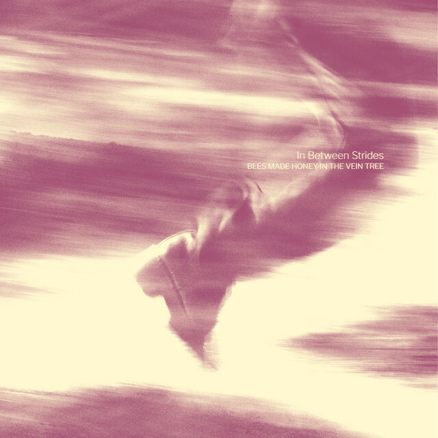 Indie30's tweet photo. Just Added #PostPunk #Coldwave #Darkwave #Shoegaze #PostRock #NewMusicPlaylist on #Spotify Clutching at Straws" by Bees Made Honey in the Vein Tree https://t.co/XdqFzY2UBE #indie30 https://t.co/dSde52YuLW