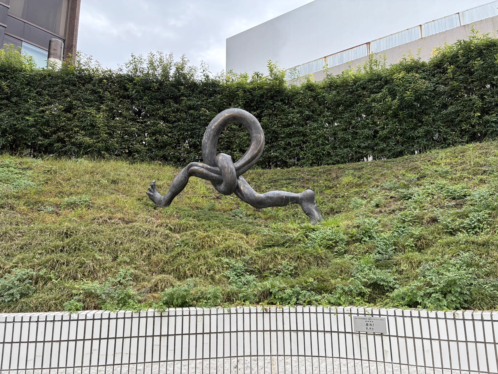 🐢みくろっと🐢 on X: 