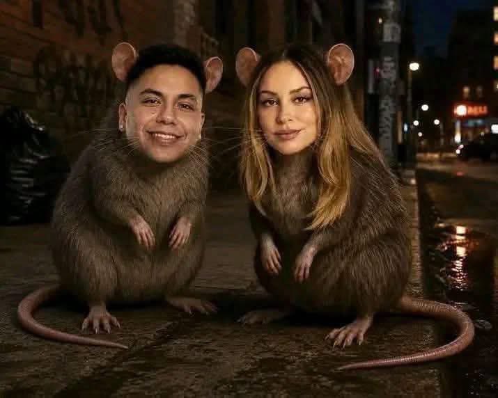 Gears_Daniels's tweet photo. A chingar a su madre los dos hahahahhaha  #LaCasaDeLosFamososMéxico #LaCasaDeLosFamososMéxicoMx 
Se hizo justicia divina https://t.co/plKynru3hj