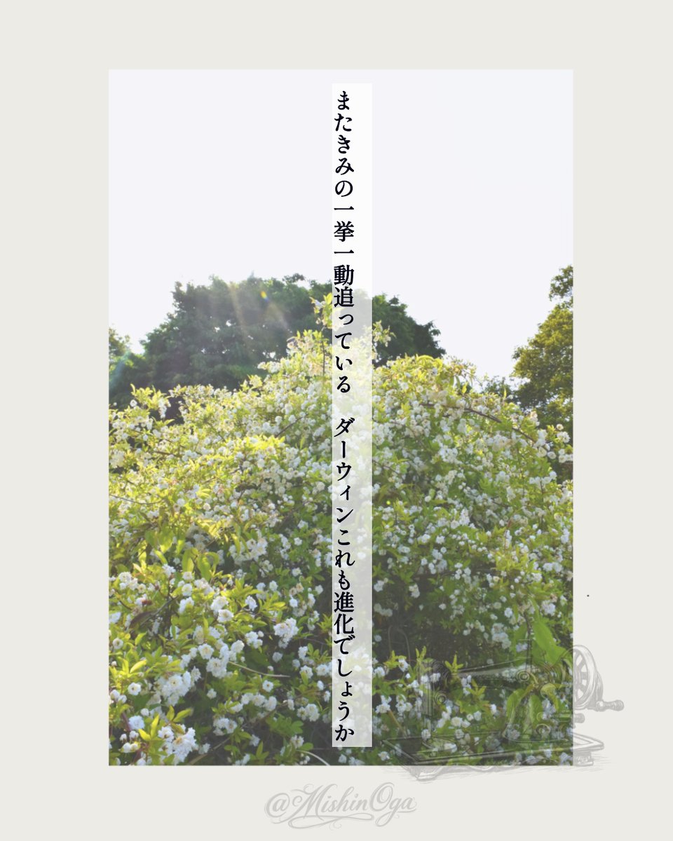 MishinOga's tweet photo. 『アプリで推し短歌』第16回お題「動」にて天野慶さんに原石の57577として一首引いていただきました🙌

またきみの一挙一動追っている　ダーウィンこれも進化でしょうか／大賀ミシン

#短歌 #短歌アプリ57577 #アプリで推し短歌 https://t.co/R1D3hCRwBB