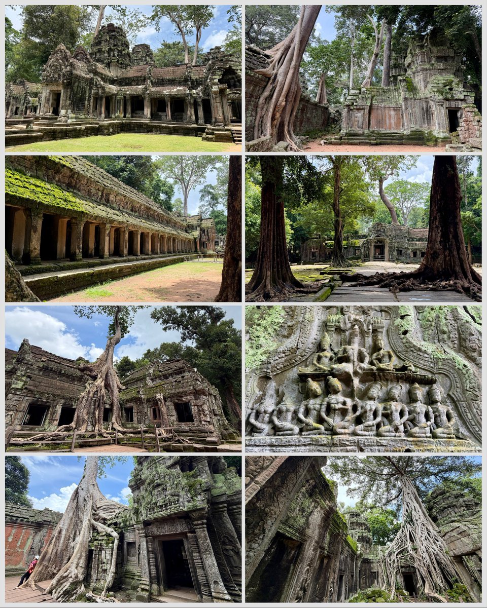 frasesdemanueh1's tweet photo. Lost in the wild beauty of Ta Prohm, where massive tree roots engulf ancient stone walls and the jungle feels fully in control. Known as the “Tomb Raider” temple, it featured scenes from the Angelina Jolie film. https://t.co/mSwDTGGUaq