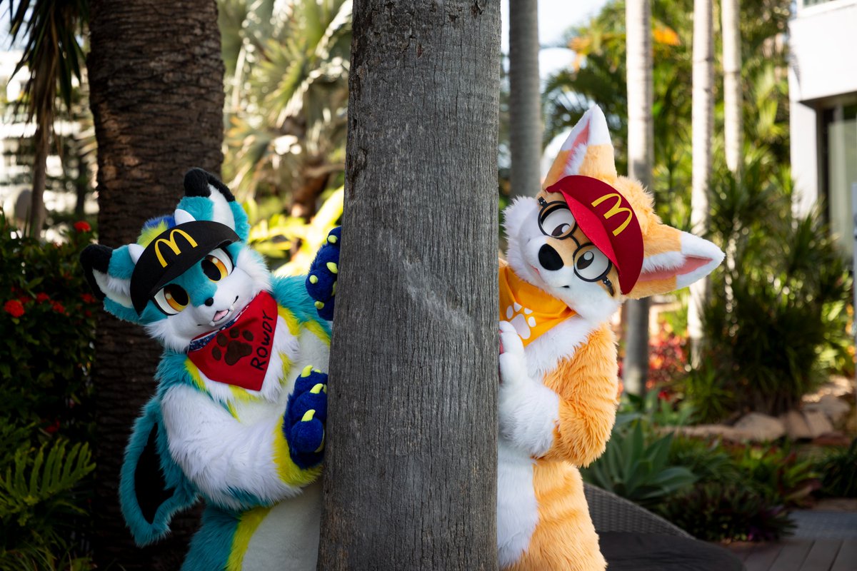 rowdy_drusky's tweet photo. Is this the spawnpoint of dragons and foxes?🌴👀

🦊:@YapsFox https://t.co/bYcntREXTC
