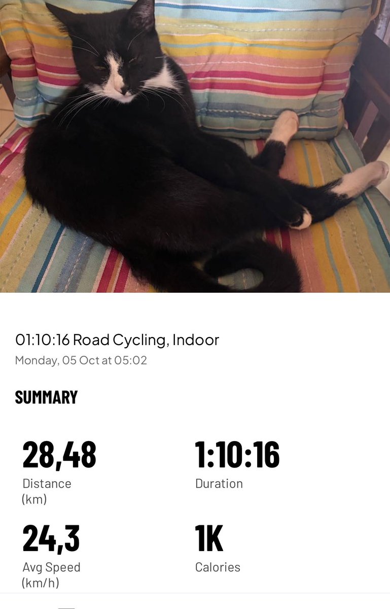 Grippa77's tweet photo. KeepMoving 28k #Cycle #MapMyRun #RunFree https://t.co/CfyJbpkvBb