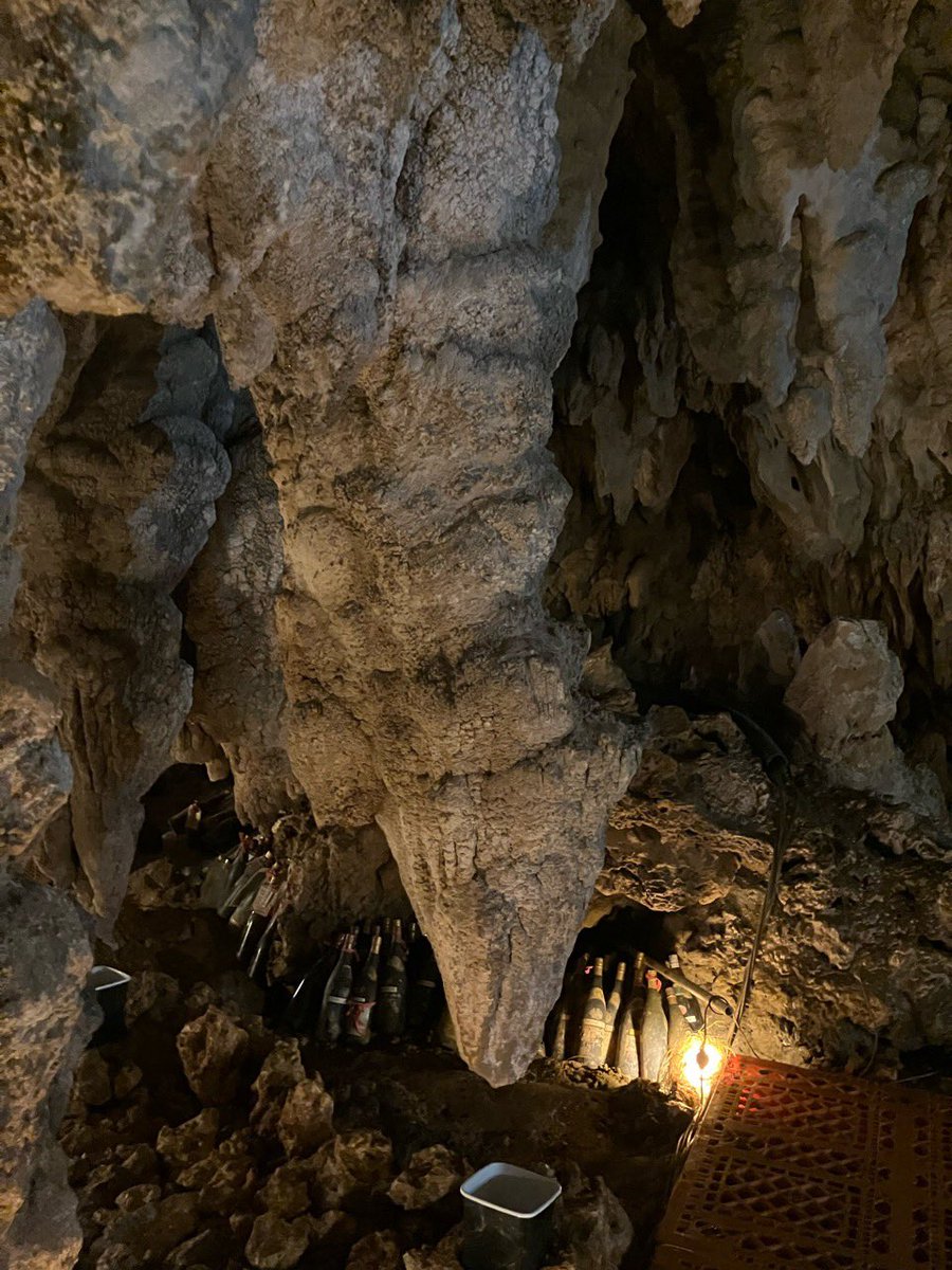 geo_tripper96's tweet photo. 🐉 https://t.co/EcX5WZFpOb