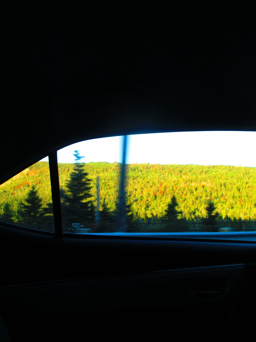 colenaksaputri's tweet photo. #fall but make it #summer https://t.co/fbMbAp0CxL