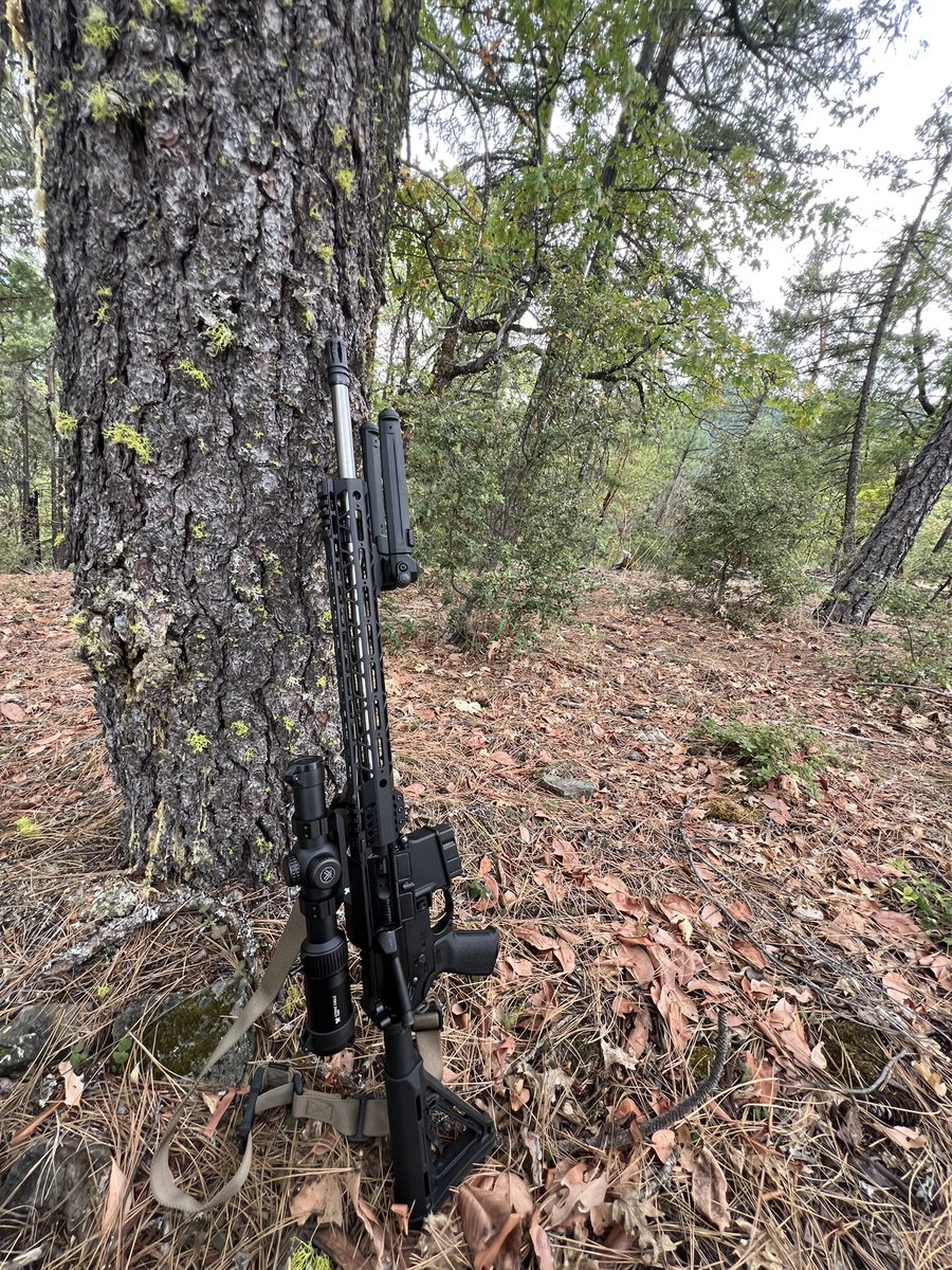 CDVIDEOWEB's tweet photo. @DaleStarkA10 First time with 6.5 Grendel. Few does and a few a couple squirrels cruised by. https://t.co/bNaRuougw5