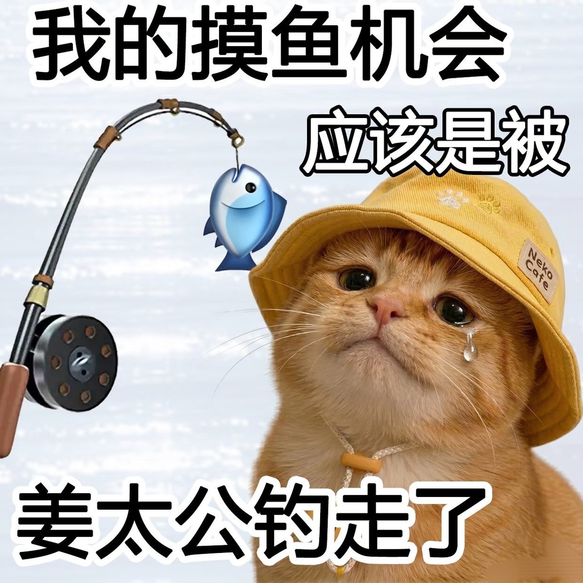 lauriiitha28's tweet photo. https://t.co/mes5ElL1ug