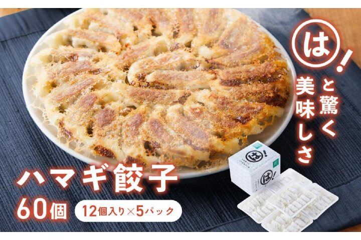 furusato_plus's tweet photo. #鹿児島県 #三島村 #ふるさと納税 #返礼品 は！と美味しいハマギ餃子 60個 (12個入り×5パック)(https://t.co/WWjnePKzDa)をご紹介！
竹島の学校で取り組んでいる“ハマギプロジェクト”で開発🥟💭
セリ科の植物「ハマギ」を使った、独特な風味がクセになる #餃子 です！ #ふるさとぷらす https://t.co/GrgXWnP8Ld